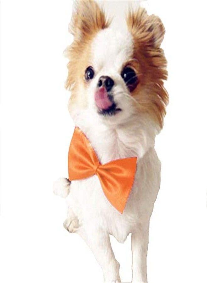 Nema NM Nema Fashion Dog Bowknot Tie - Orange - Image 1